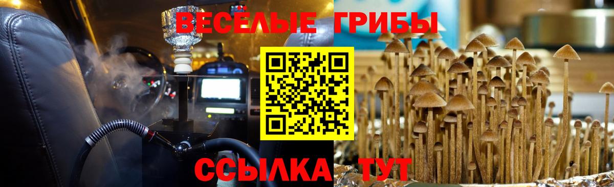 Зеленокумск  Галлюциногенные грибы MAGIC MUSHROOMS  Вход с VPN 