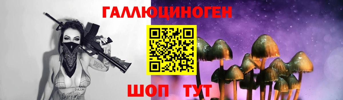 Галлюциногенные грибы Cubensis Зеленокумск